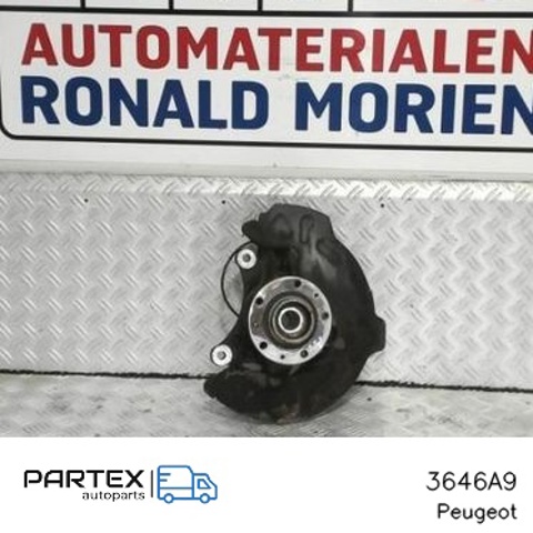 3646A9 PEUGEOT Цапфа передняя левая купить в Украина