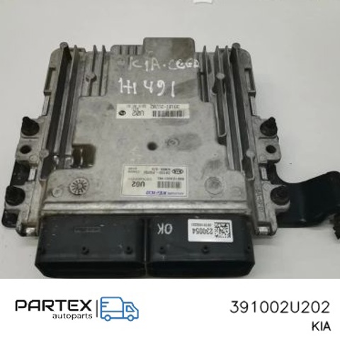 HYUNDAI 391002U202 в наличии Каменское