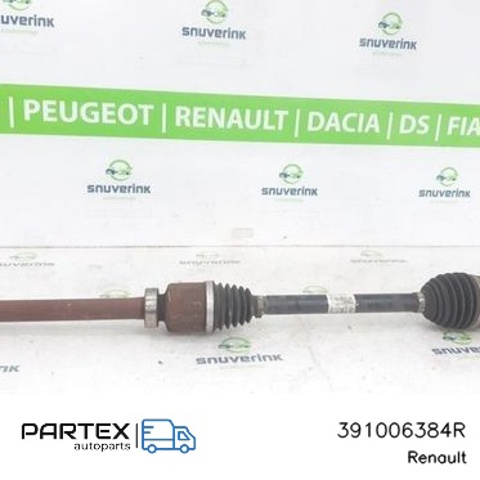 391006384R купить Кривой Рог