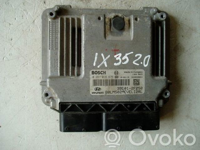 HYUNDAI 391012F250 Модуль управления (ЭБУ) двигателем в наличии Сумы