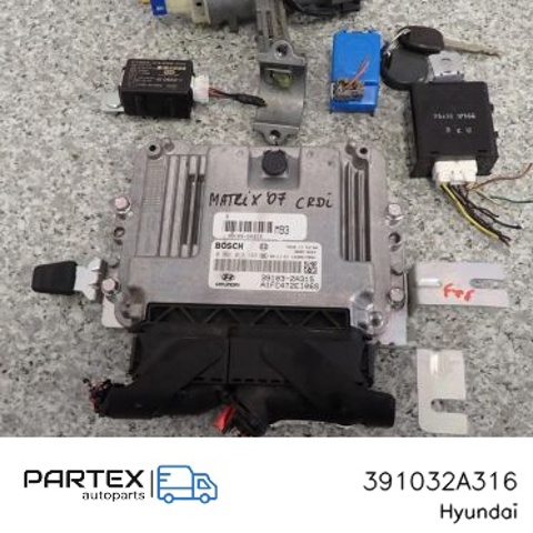 HYUNDAI 391032A316 в наличии Днепр