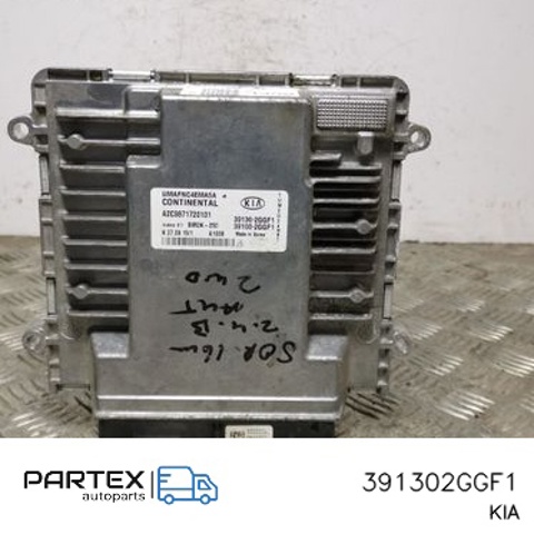 391302GGF1 купить Львов