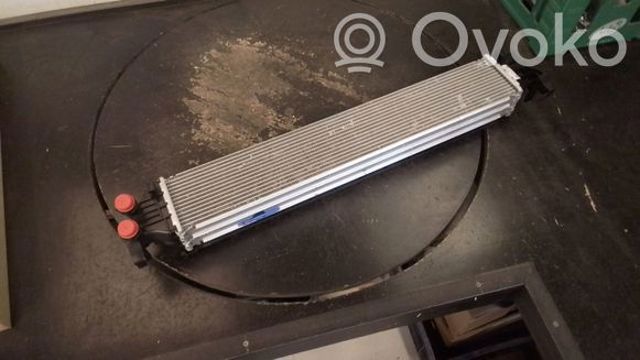 39239240 Opel