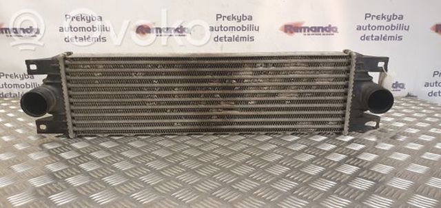 5010382814 RENAULT Радиатор интеркуллера купить в Чернигов