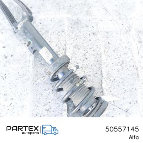 50557145 Амортизатор передний правый купить Кривой Рог