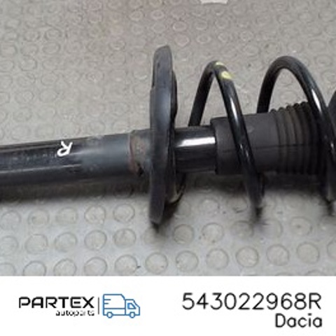 RENAULT 543022968R Амортизатор передний в наличии Каменское