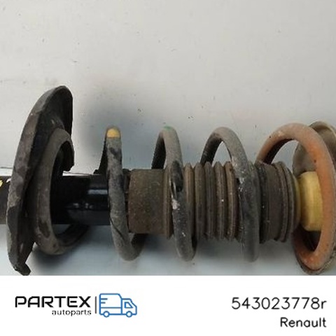 543023778R RENAULT Амортизатор передний купить в Ужгород