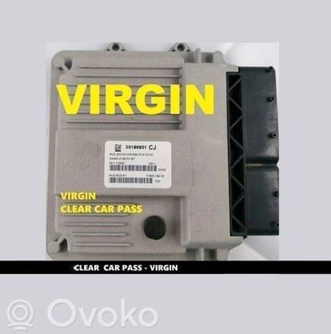 55198931 OPEL купить в Черновцы