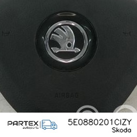 Подушка в руле 5E0880201CIZY VAG