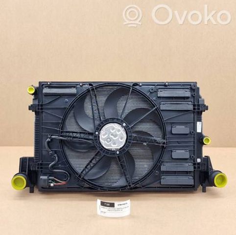VAG 5Q0121203CB Диффузор радиатора охлаждения, в сборе с мотором и крыльчаткой в наличии Павлоград