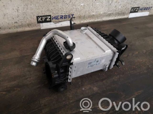 6540900100 Интеркулер купить Полтава