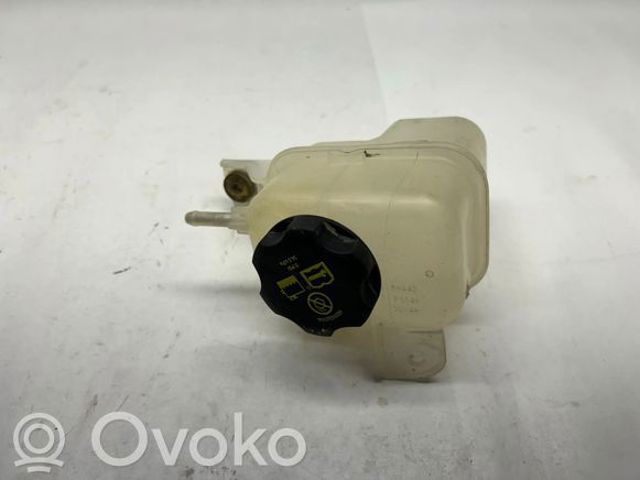 CHRYSLER 68290247AA Крышка (пробка) расширительного бачка в наличии Житомир
