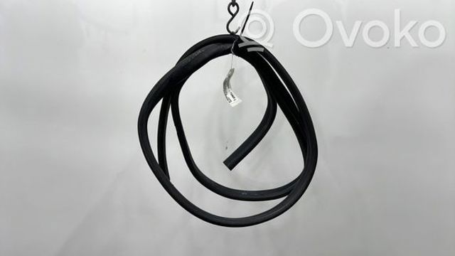 769235630R RENAULT Уплотнитель двери задней правой (на кузове) купить в Ужгород