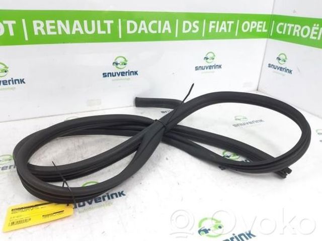 769238392R RENAULT купить в Николаев