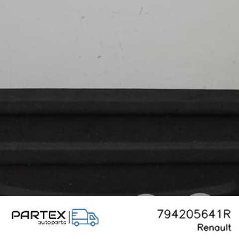 794205641R купить Запорожье