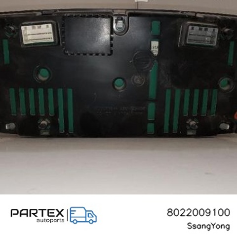 8022009100 SSANG YONG Панель приборов купить в Черновцы