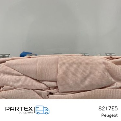 PEUGEOT 8217E5 Подушка безопасности (AIRBAG) пассажирская в наличии Житомир