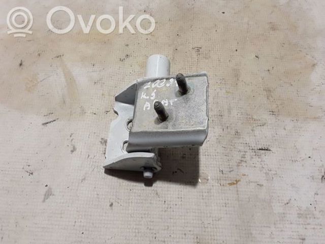 RENAULT 824214963R Петля двери задней левой в наличии Харьков