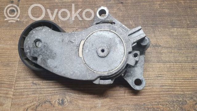 846143 Натяжитель приводного ремня купить Хмельницкий