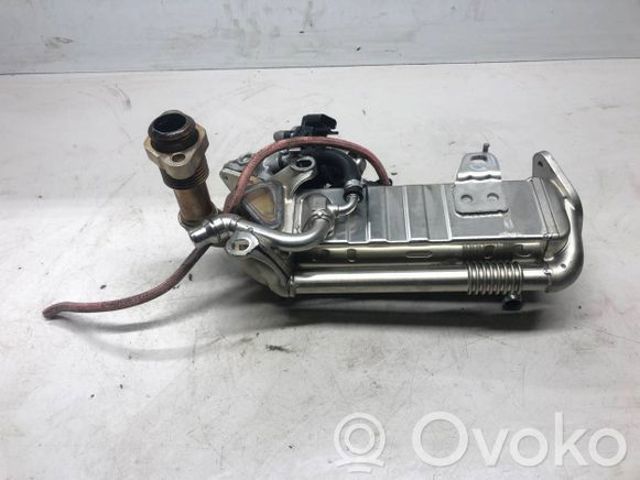 8513132 BMW Клапан EGR рециркуляции газов купить в Кривой Рог