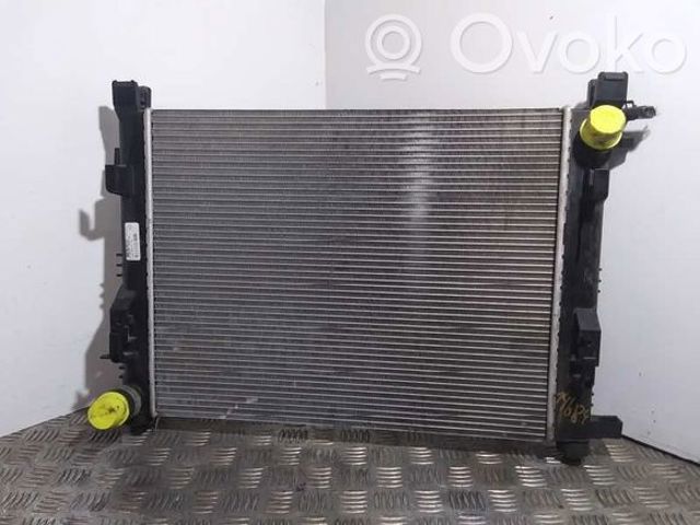 RENAULT 8660003460 Радиатор охлаждения двигателя в наличии Черкассы