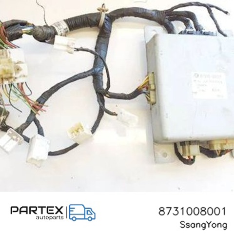 SSANG YONG 8731008001 в наличии Днепр