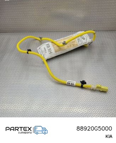 88920G5000 купить Тернополь
