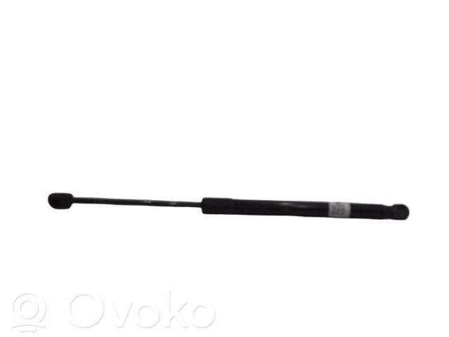 904510001R Амортизатор багажника купить Черновцы