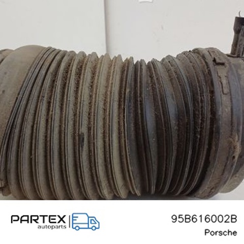 95B616002B PORSCHE Пневмоподушка (пневморессора) моста заднего купить в Ровно