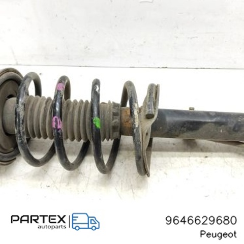 PEUGEOT 9646629680 в наличии Хмельницкий