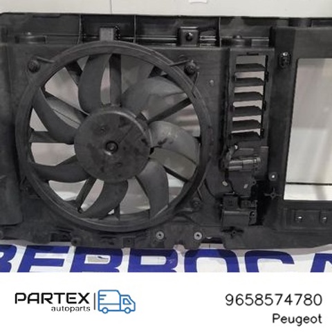 PEUGEOT 9658574780 в наличии Николаев