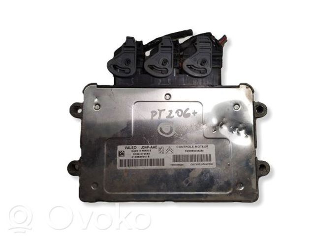 9666498280 Peugeot/Citroen