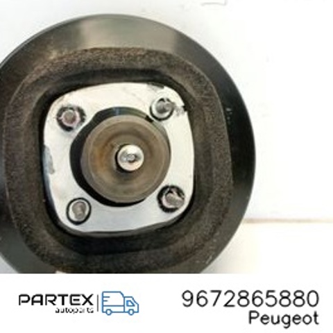 9672865880 PEUGEOT купить в Одесса