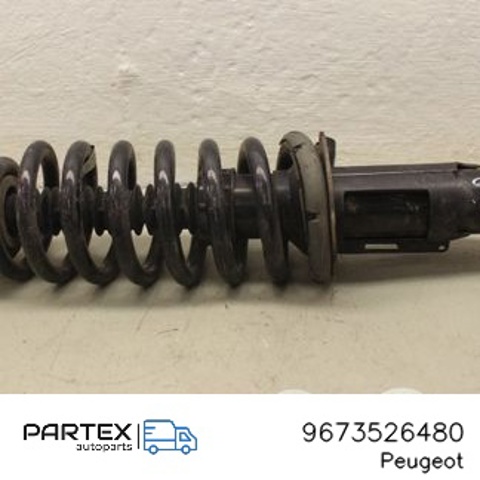 PEUGEOT 9673526480 в наличии Павлоград
