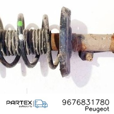9676831780 Peugeot/Citroen