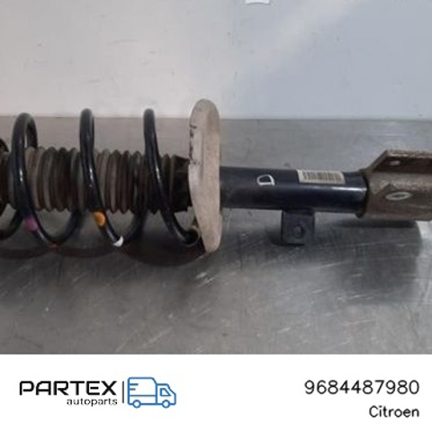 PEUGEOT 9684487980 в наличии Каменское