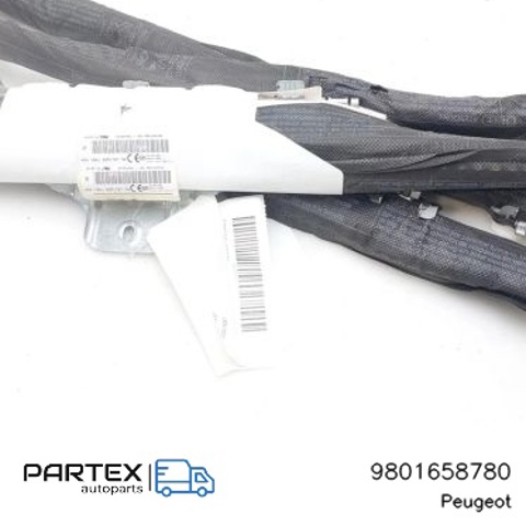 9801658780 PEUGEOT купить в Одесса