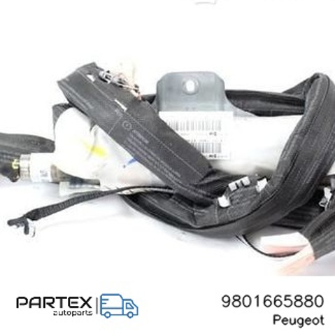 PEUGEOT 9801665880 в наличии Житомир