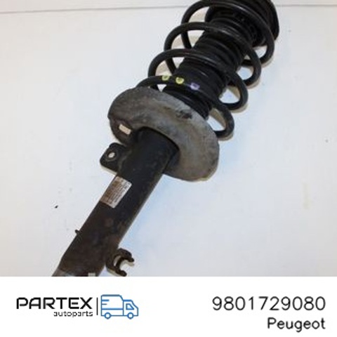 9801729080 Амортизатор передний левый купить Ровно