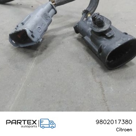 PEUGEOT 9802017380 в наличии Киев