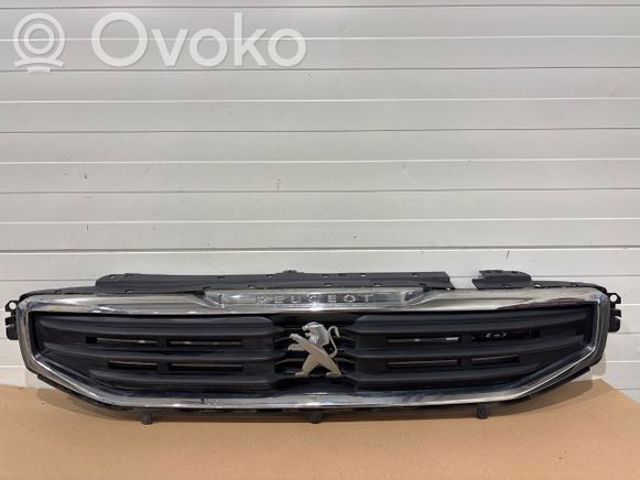 PEUGEOT 9807631080 в наличии Запорожье