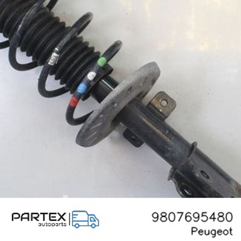 9807695480 Передняя пружина купить Ужгород