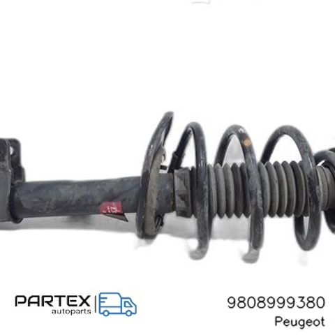 PEUGEOT 9808999380 в наличии Ужгород