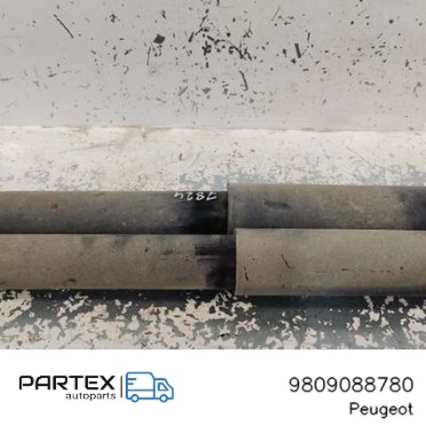 9809088780 PEUGEOT Амортизатор задний купить в Одесса