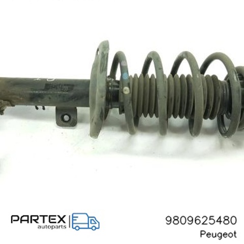 9809625480 PEUGEOT Амортизатор передний левый купить в Хмельницкий