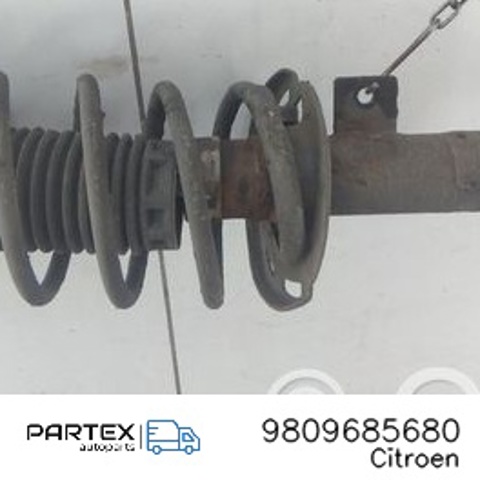 PEUGEOT 9809685680 в наличии Ужгород