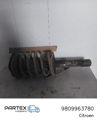 9809963780 Peugeot/Citroen