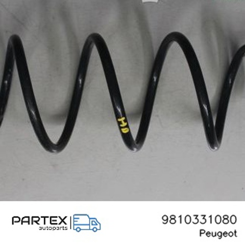 9810331080 Peugeot/Citroen