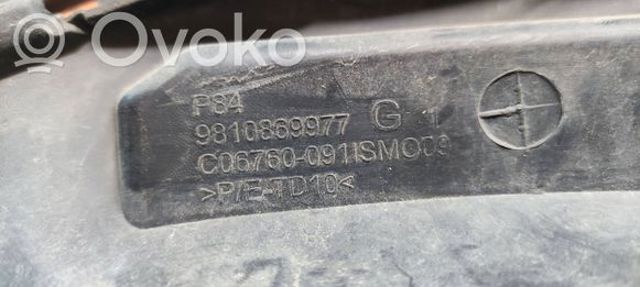 PEUGEOT 9810869977 в наличии Днепр