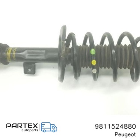 9811524880 Амортизатор передний левый купить Кривой Рог